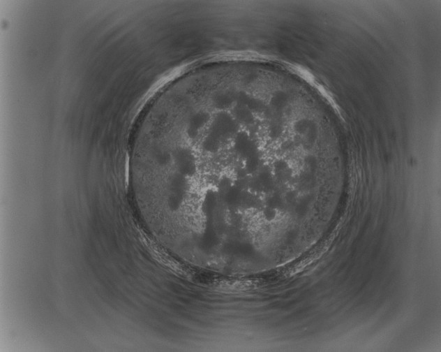 X0000086091221200704091318