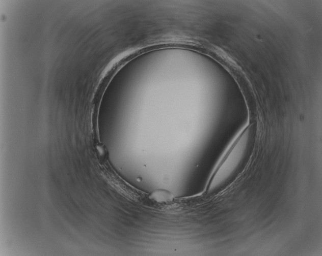 X0000086091222200704091318