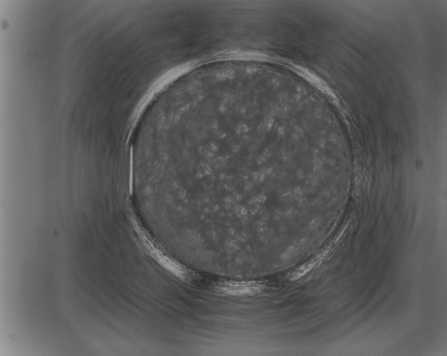 X0000086091223200704091318