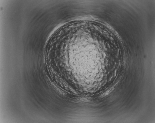 X0000086091224200704091318