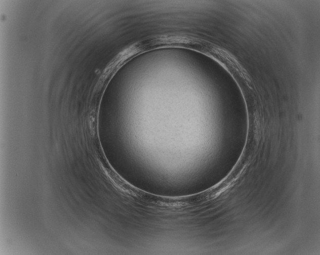 X0000086091225200704091318