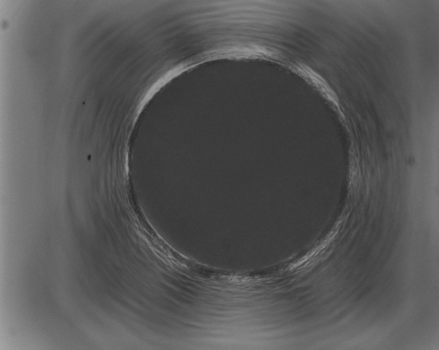 X0000086091226200704091318