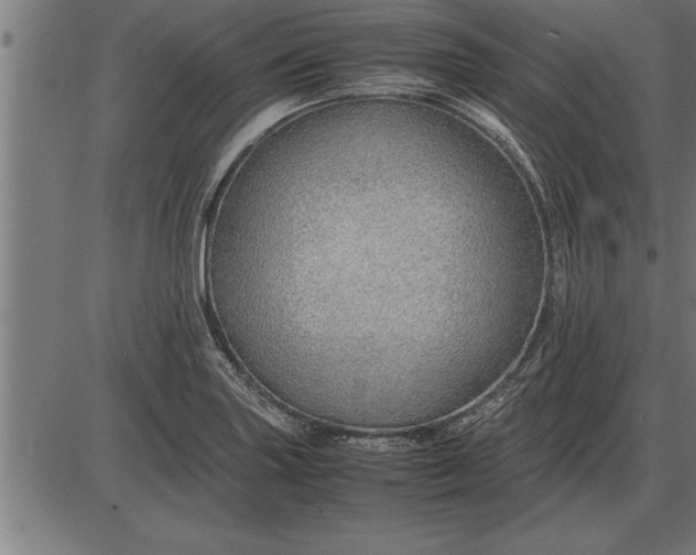 X0000086091227200704091318