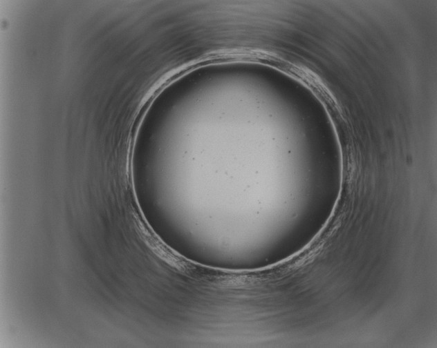 X0000086091228200704091318