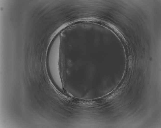 X0000086091229200704091318