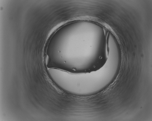 X0000086091230200704091318