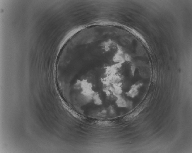 X0000086091231200704091318