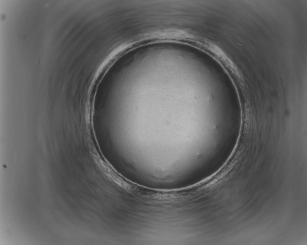 X0000086091232200704091318