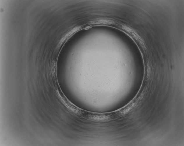 X0000086091233200704091318