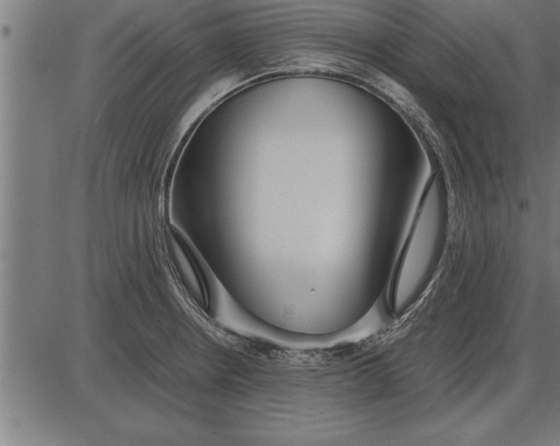 X0000086091234200704091318