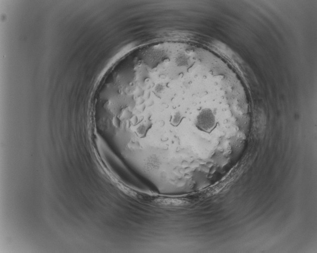 X0000086091235200704091318