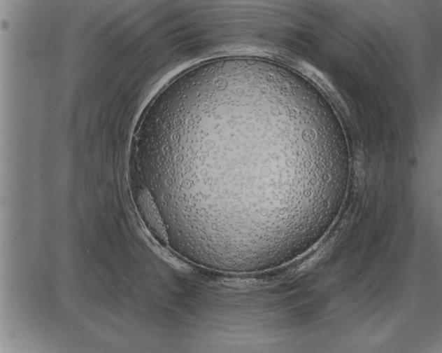 X0000086091236200704091318