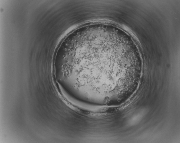 X0000086091237200704091318