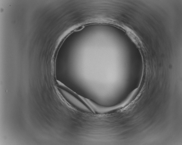 X0000086091238200704091318