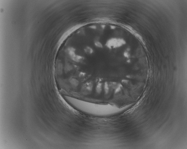 X0000086091239200704091318