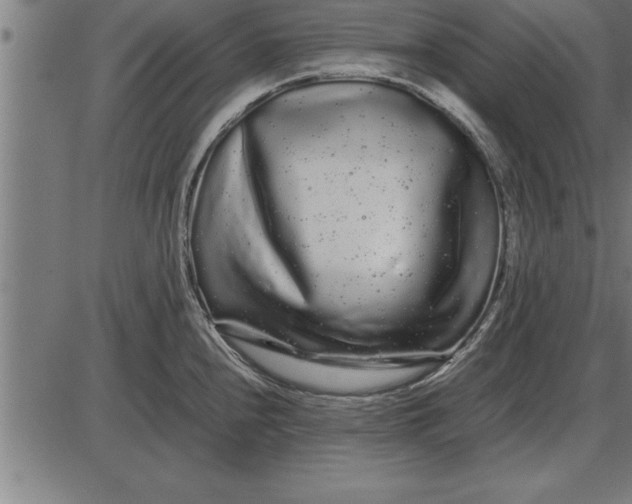 X0000086091240200704091318