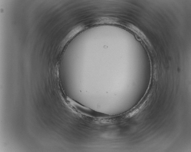 X0000086091241200704091318