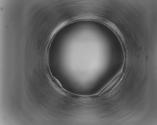 X0000086091242200704091318