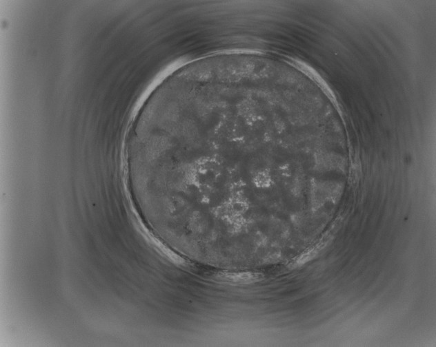 X0000086091243200704091318