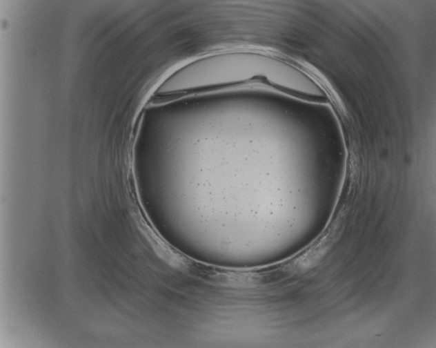 X0000086091244200704091318