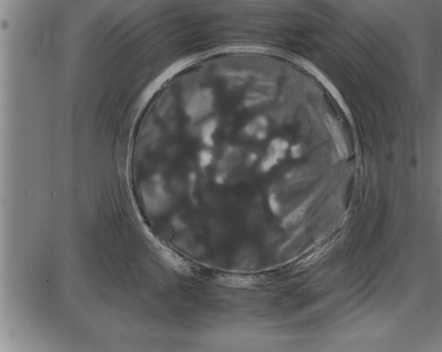 X0000086091245200704091318