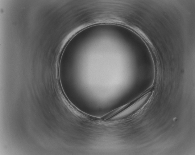 X0000086091246200704091318