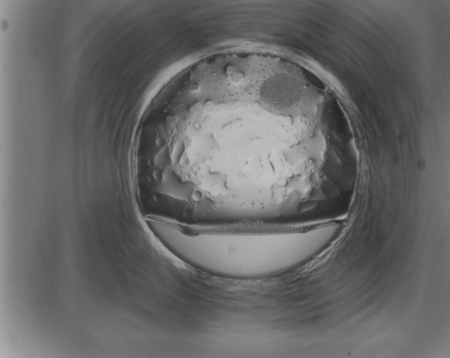 X0000086091247200704091318