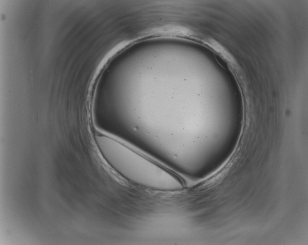 X0000086091248200704091318