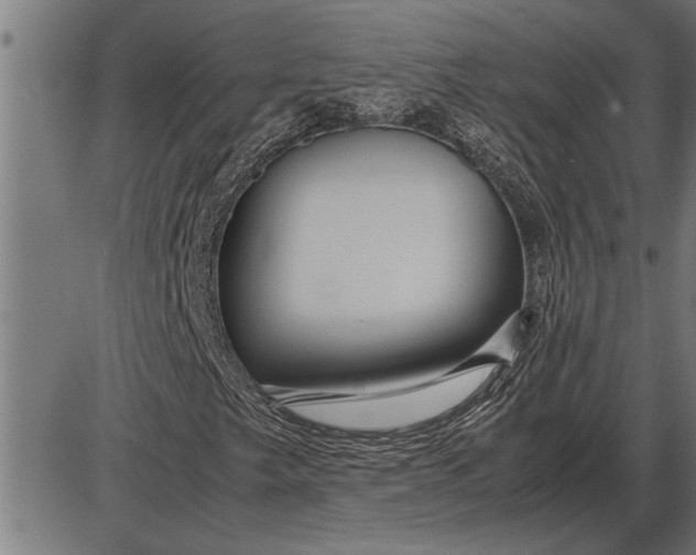 X0000086091249200704091318