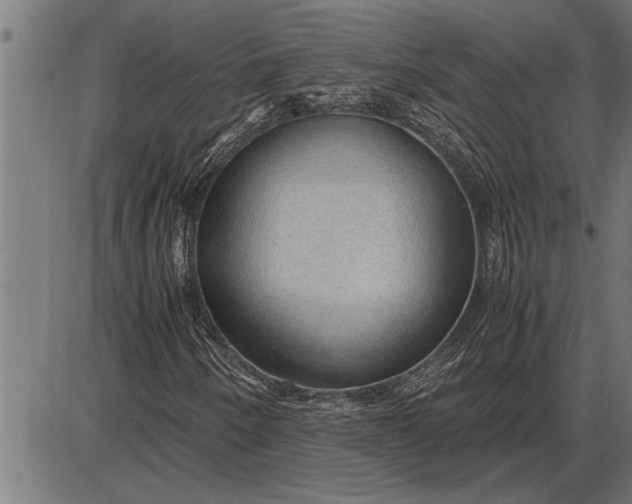 X0000086091250200704091318