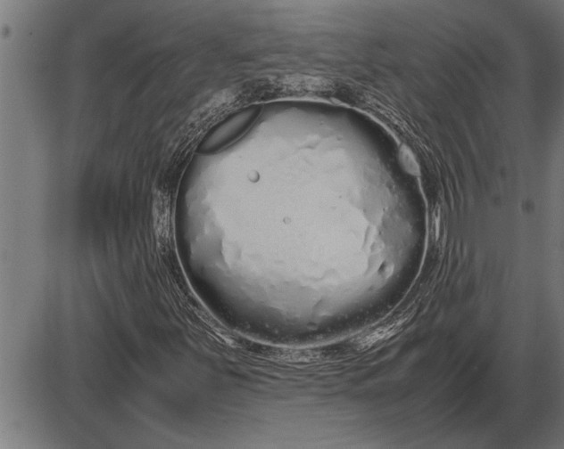 X0000086091251200704091318