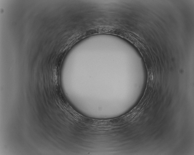 X0000086091252200704091318