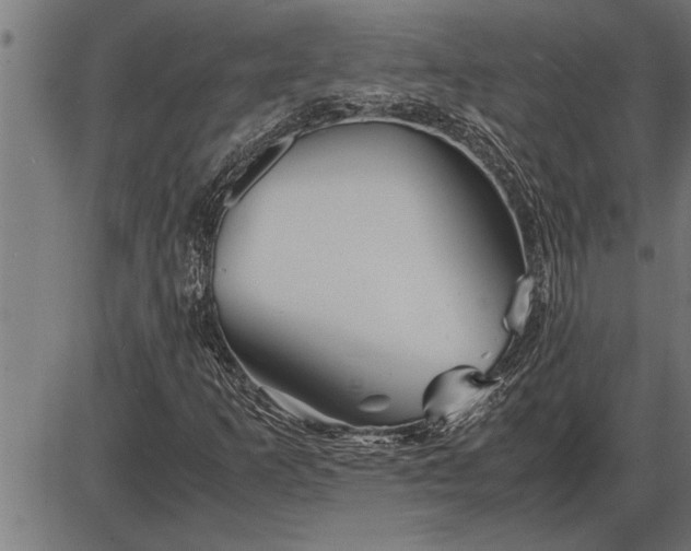 X0000086091253200704091318