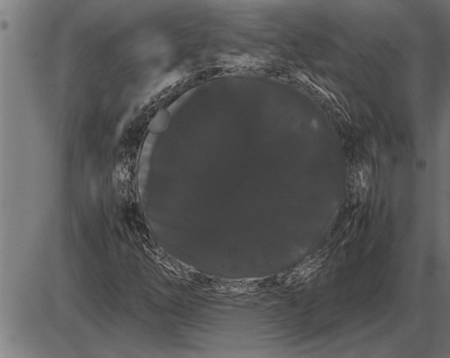 X0000086091254200704091318