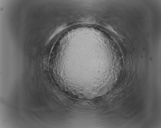 X0000086091255200704091318