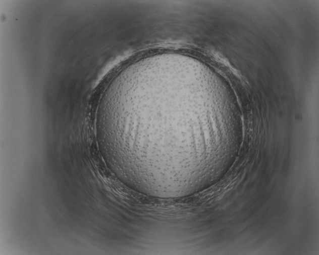 X0000086091256200704091318