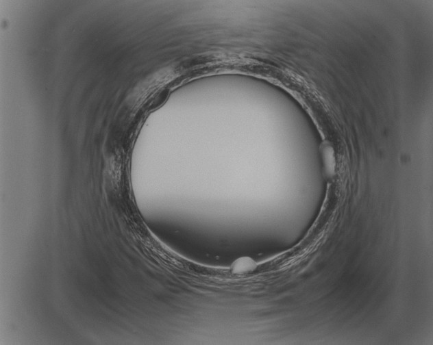 X0000086091257200704091318