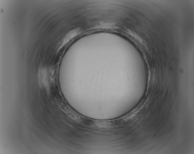 X0000086091258200704091317