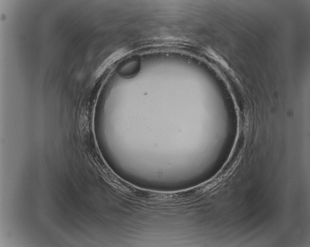 X0000086091259200704091317