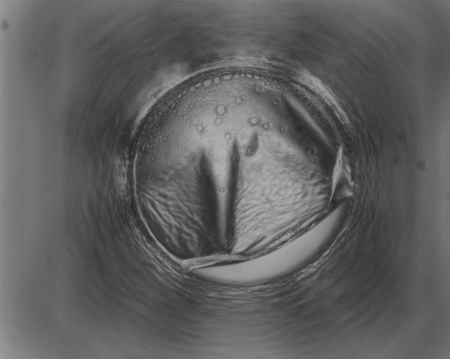 X0000086091260200704091317