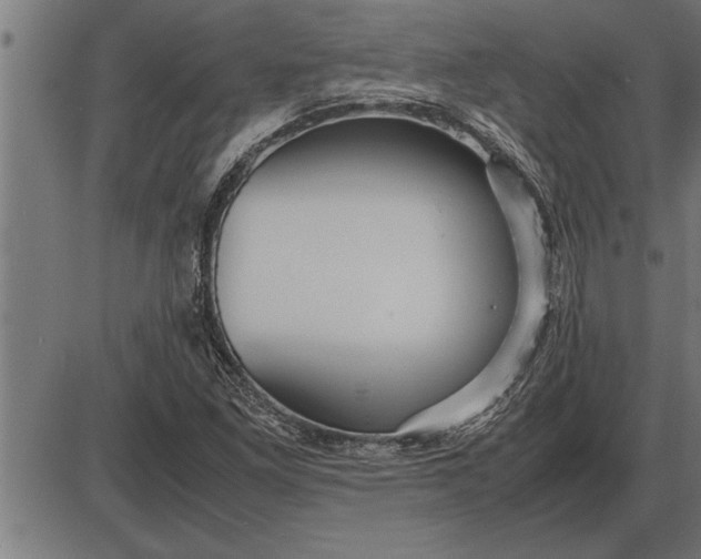 X0000086091261200704091317