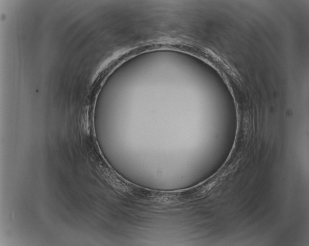 X0000086091262200704091317