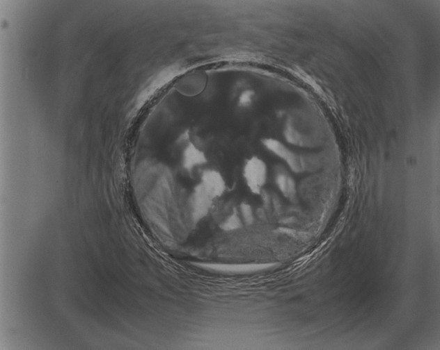 X0000086091263200704091317