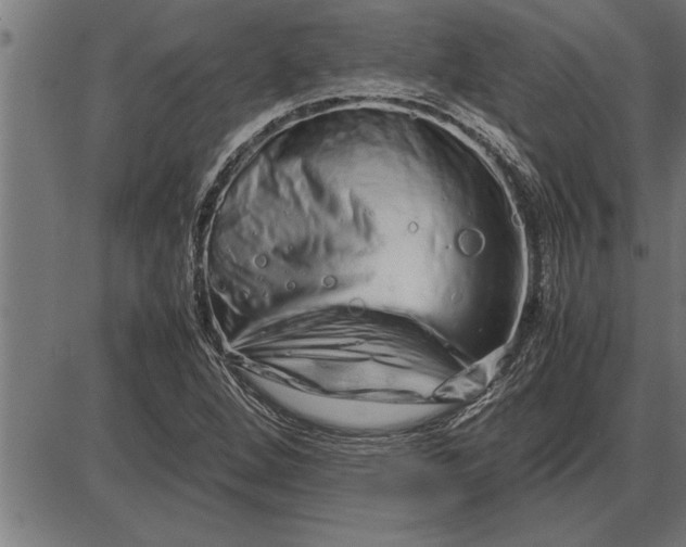 X0000086091264200704091317