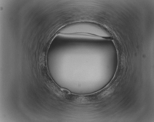 X0000086091265200704091317