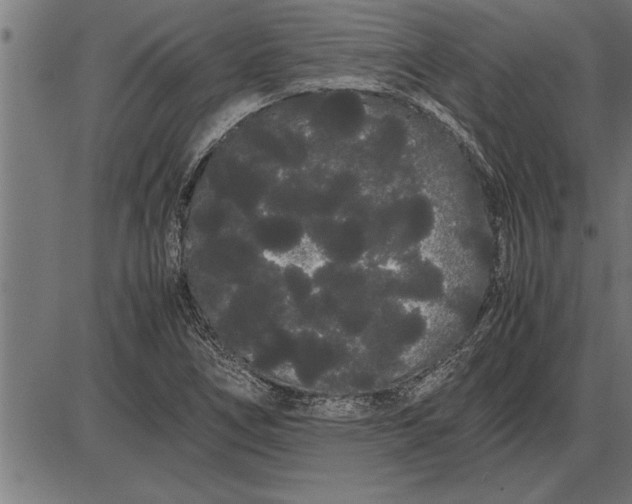 X0000086091266200704091317