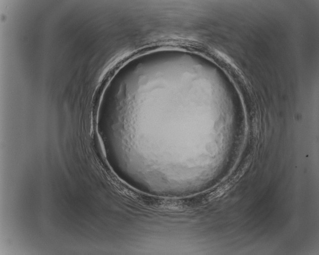 X0000086091267200704091317