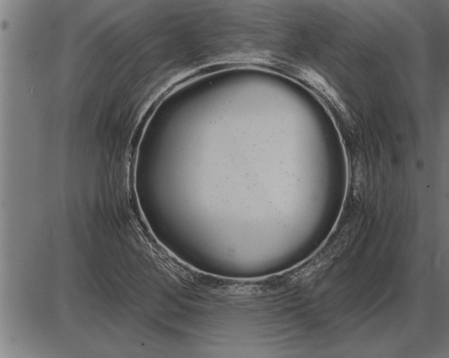 X0000086091268200704091317