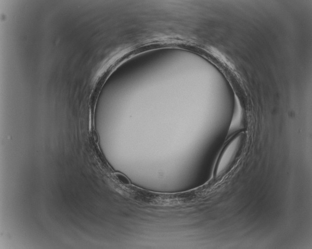 X0000086091269200704091317