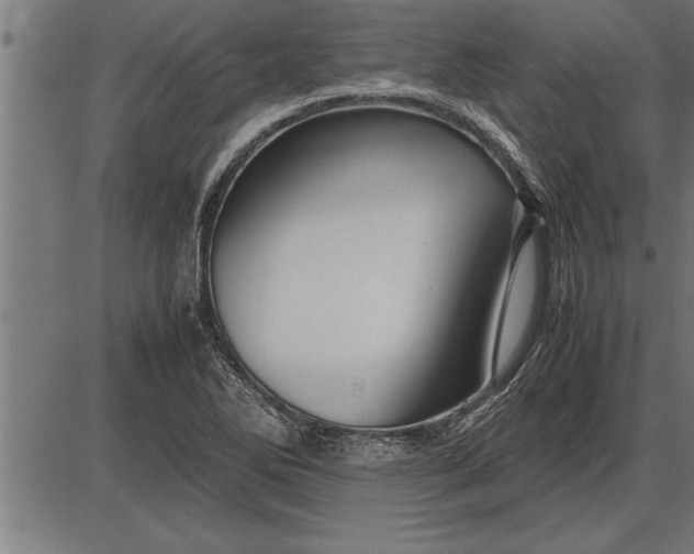 X0000086091270200704091317